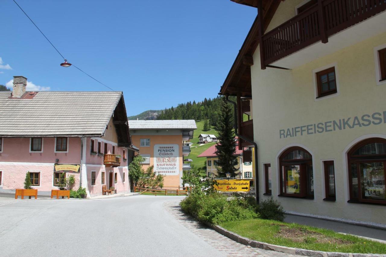Apartments Gamsfeld Russbach am Pass Gschütt Exterior photo